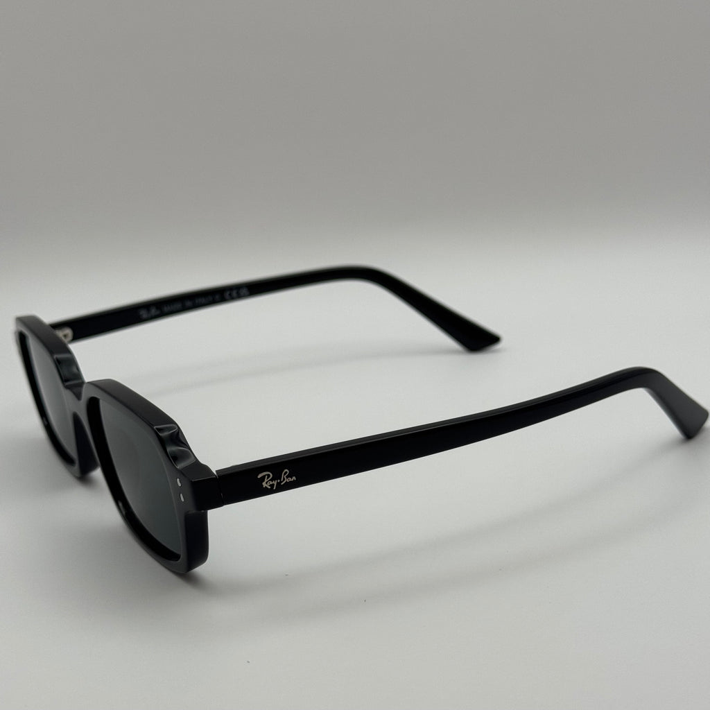 NG sunglasses rbz4455 Black Glossy