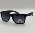 NG sunglasses bgrb4165 Black
