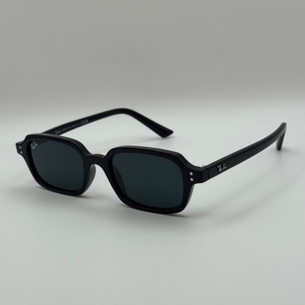NG sunglasses rbz4455 Black Glossy