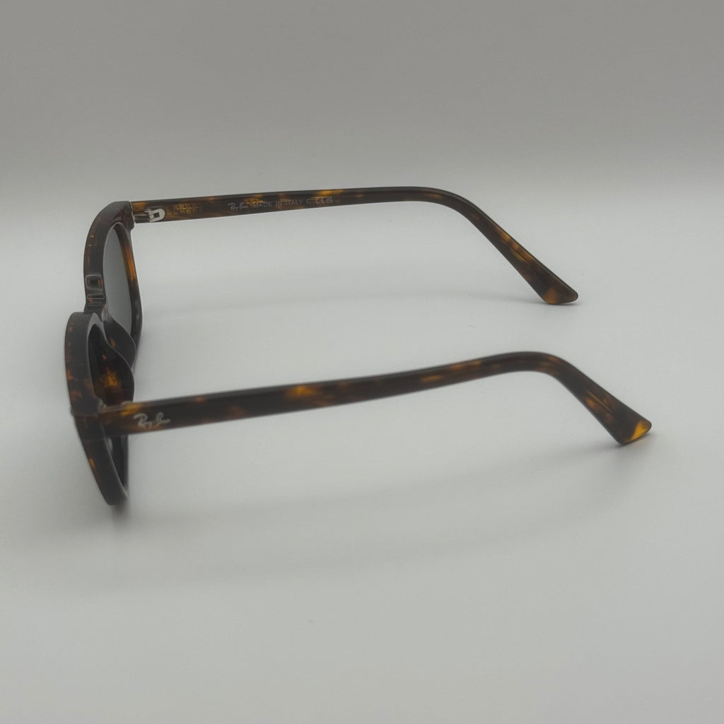 NG sunglasses bmrb4456 Leo