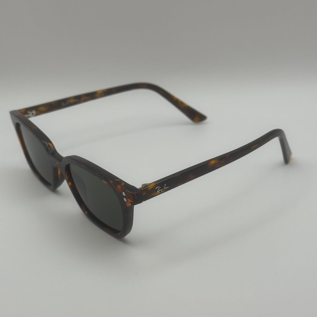 NG sunglasses bmrb4456 Leo