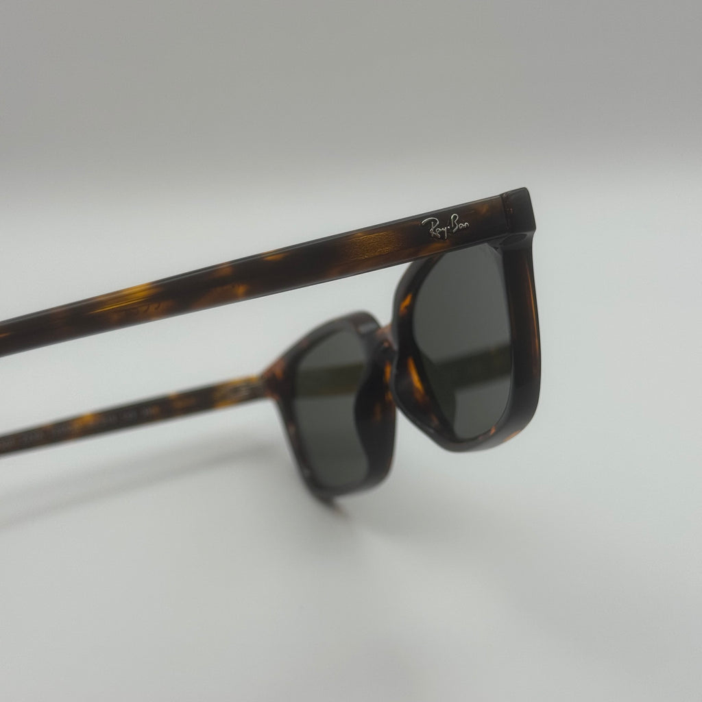 NG sunglasses bmrb4456 Leo
