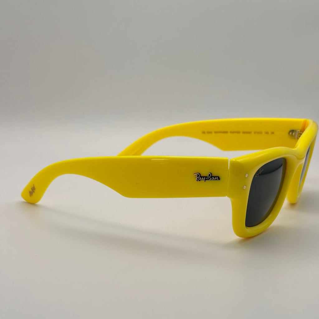 NG Sunglasses rbw4940 yellow